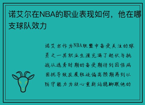 诺艾尔在NBA的职业表现如何，他在哪支球队效力
